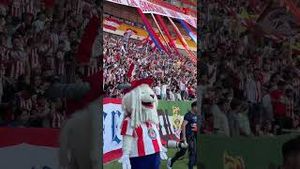 Video post by @deportes on YouTube