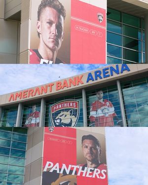 Image post by @amerantbankarena on Instagram