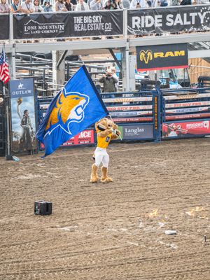 Image post by @montanastatebobcats on Instagram