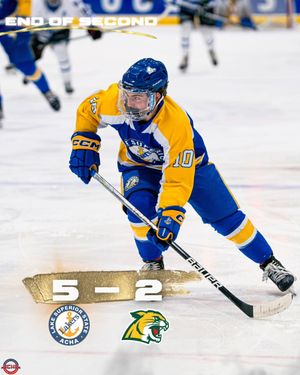 Image post by @lakestatemensachahockey on Instagram