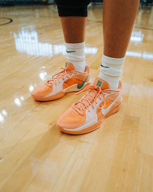 Image post by @VandalsWBB on Twitter