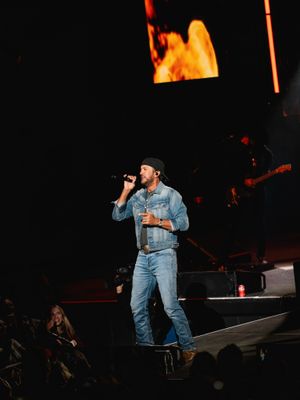 Image post by @lukebryan on Instagram