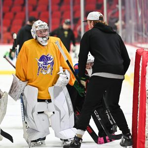 Image post by @IAWild on Twitter