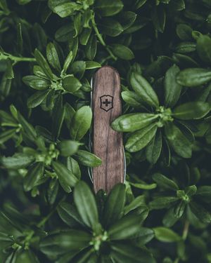 Image post by @kszczuka on Instagram