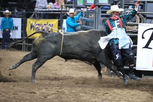 Image post by @larimercountyfair on Instagram