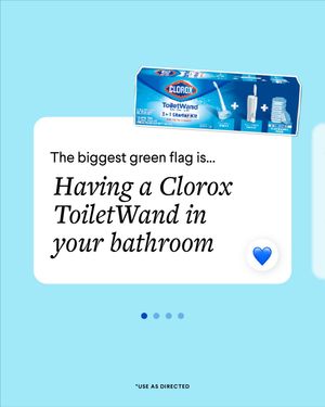 Image post by @clorox on Instagram