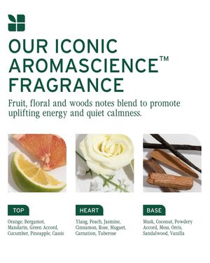 Image post by @biolage on Instagram