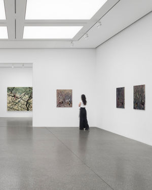 Image post by @whitecube on Instagram