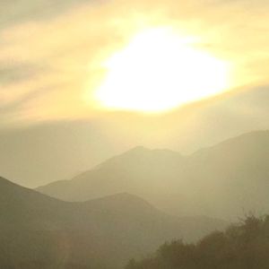 Image post by @davidapnea on Instagram