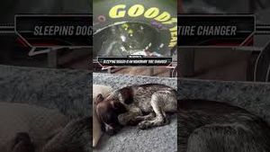 Video post by @speedonfox on YouTube
