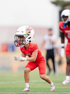 Image post by @isuredbirdfb on Instagram