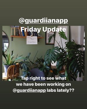 Image post by @sarforre on Instagram