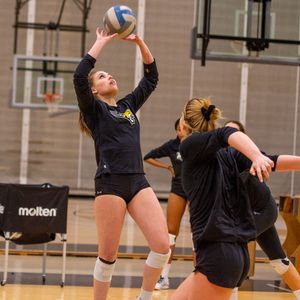 Image post by @towsontigersvb on Instagram