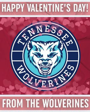 Image post by @tnwolverines on Instagram