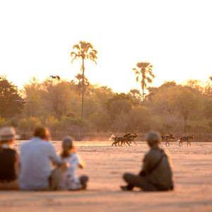 Image post by @chiawasafaris on Instagram