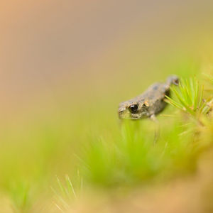 Image post by @rspb on Instagram
