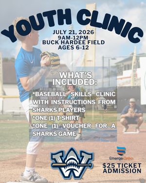 Image post by @ilmsharks on Instagram