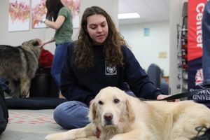 Image post by @shippensburgu on Instagram