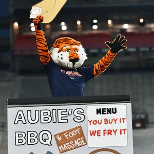 Image post by @aubiethetiger01 on Instagram