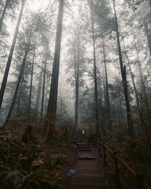Image post by @bill.yao on Instagram