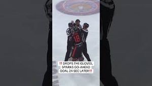Video post by @flohockey on YouTube