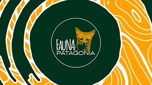 Video post by @fauna.patagonia on Facebook