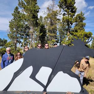 Image post by @thechicagodogs on Instagram