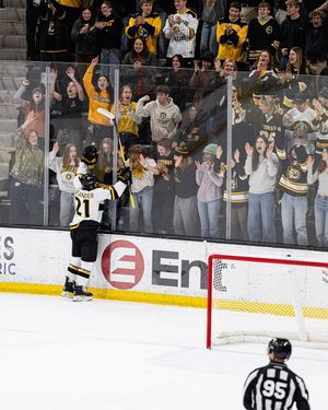 Image post by @cctigerhockey on Instagram