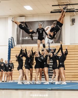 Image post by @turfblur on Instagram