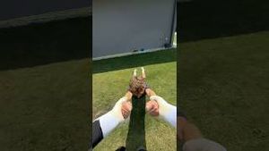 Video post by @goalkeeperz on YouTube