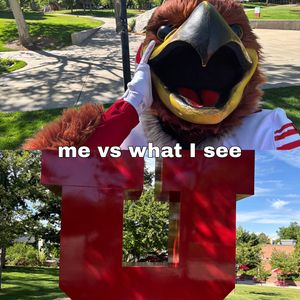 Image post by @utahswoop on Instagram