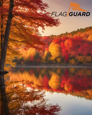 Image post by @flagguard on Instagram