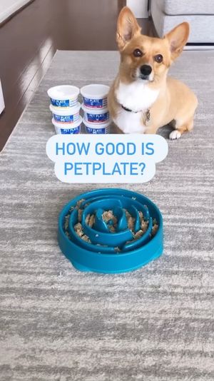Video post by @aircorg on Instagram