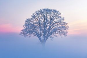 Image post by @unsplash on Instagram