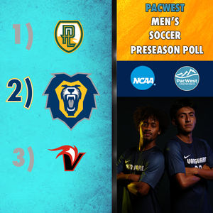 Image post by @vulions on Instagram