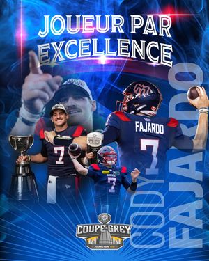 Image post by @mtlalouettes on Instagram