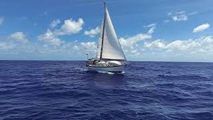 Video post by @sailing_with_phoenix on YouTube