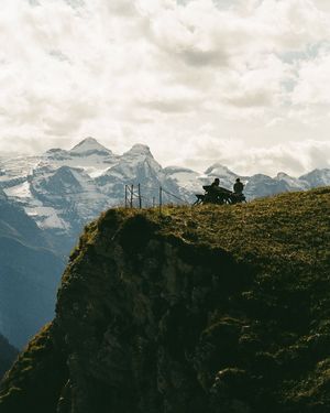 Image post by @morgcohn on Instagram