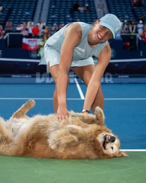 Image post by @tennischannel on Instagram