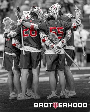 Image post by @harvardmlacrosse on Instagram