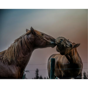 Image post by @robinwinsor on Instagram