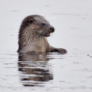 Image post by @rspb on Instagram