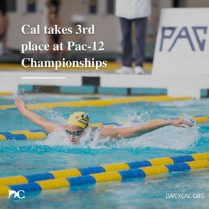 Image post by @dailycalsports on Instagram
