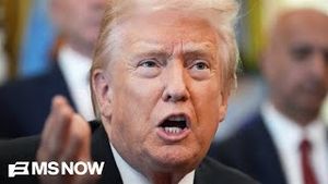 Video post by @msnbc on YouTube