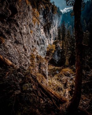 Image post by @cristan.nature.photography on Instagram