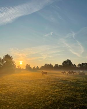 Image post by @coolmoreamerica on Instagram