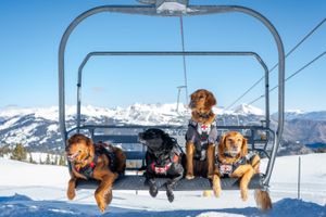 Image post by @coppermtn on Instagram