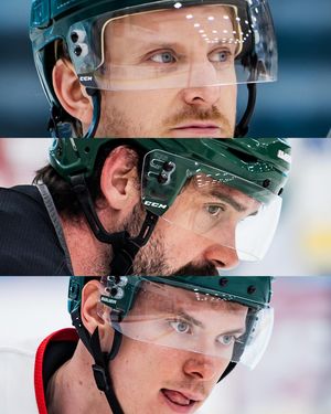 Image post by @minnesotawild on Instagram