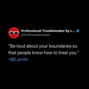 Image post by @professionaltroublemaker on Instagram