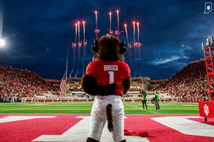 Image post by @hoosierthebison on Instagram